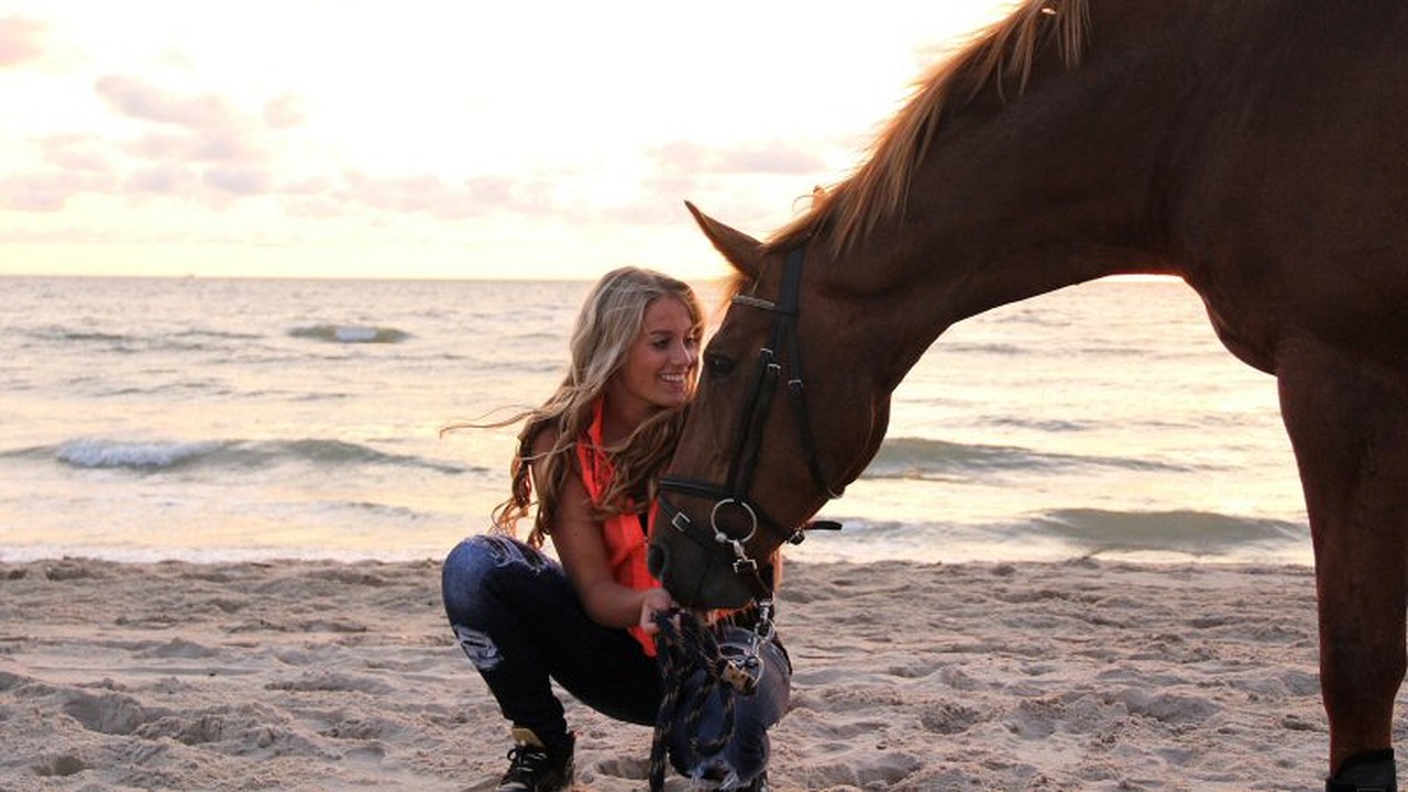 Stemmen op ruiter Ashley Rol