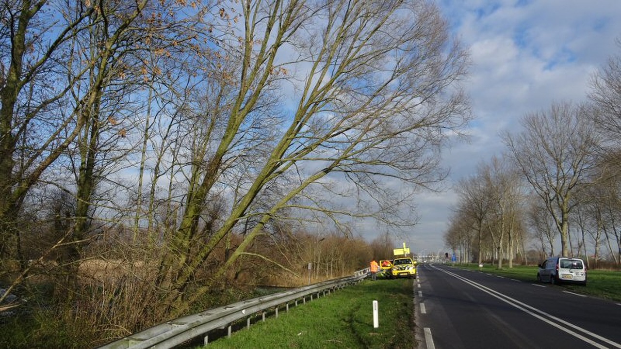 Bomen N245 op omvallen