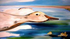 Expositie Schager Kunstkring