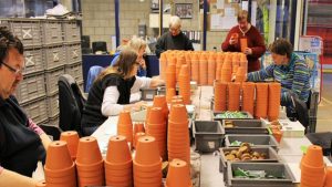 400.000 bloempotjes inpakken
