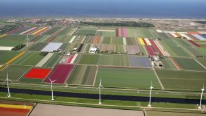 Regio maakt grote sprong vooruit