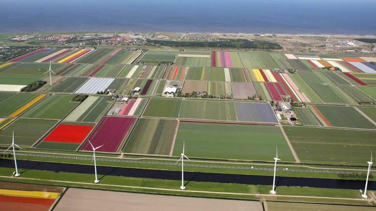 Regio maakt grote sprong vooruit