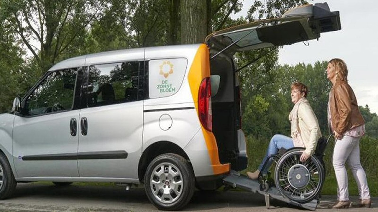 Zonnebloem auto in Schagen