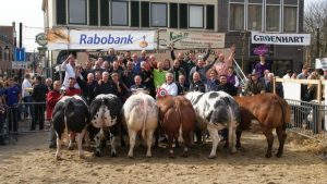 Voorbereidingen Paasvee in volle gang