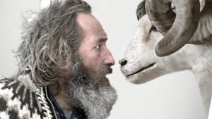 Gortdroge humor tussen de schapen