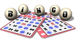 Bingo Wijkvereniging Waldervaart