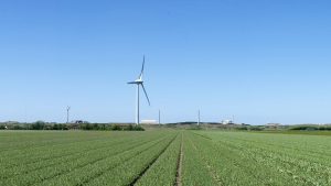 Veel vragen rond Pallas