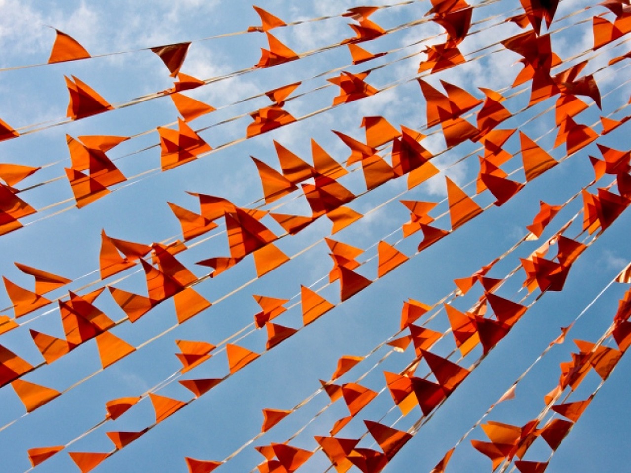 Koningsdag Tuitjenhorn
