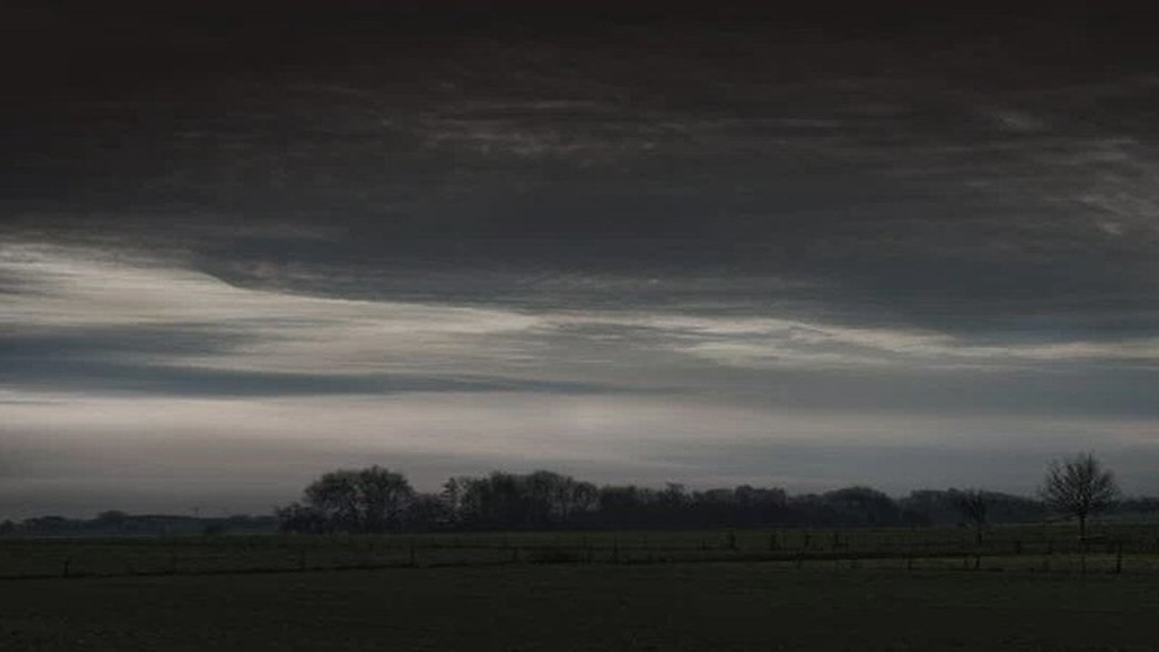 Kunst in jarig Wildrijk