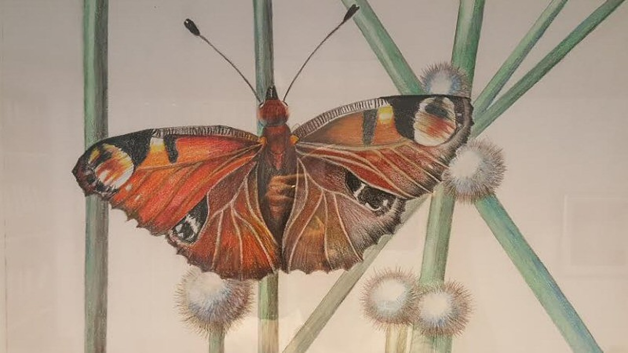 De natuur door de ogen van Erna Bleek
