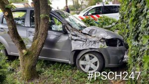 Auto belandt in Waarlandse tuin