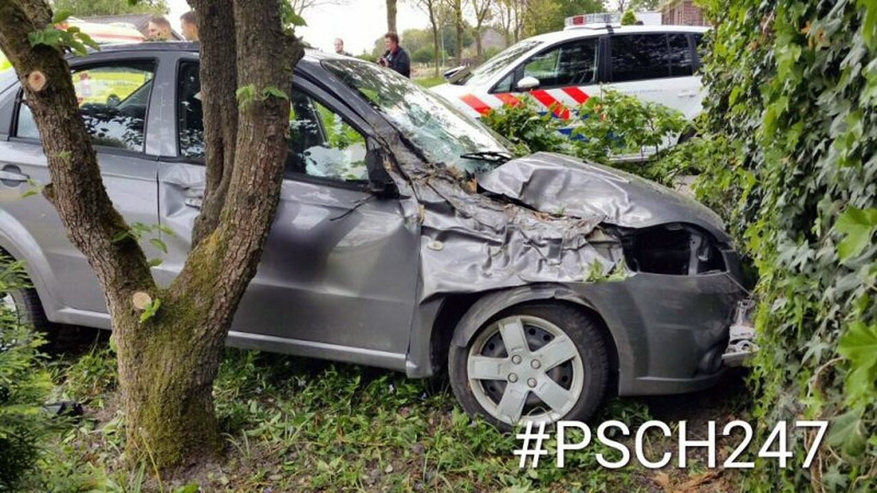 Auto belandt in Waarlandse tuin
