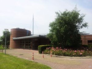 Expositie van lokale kunst in bibliotheek