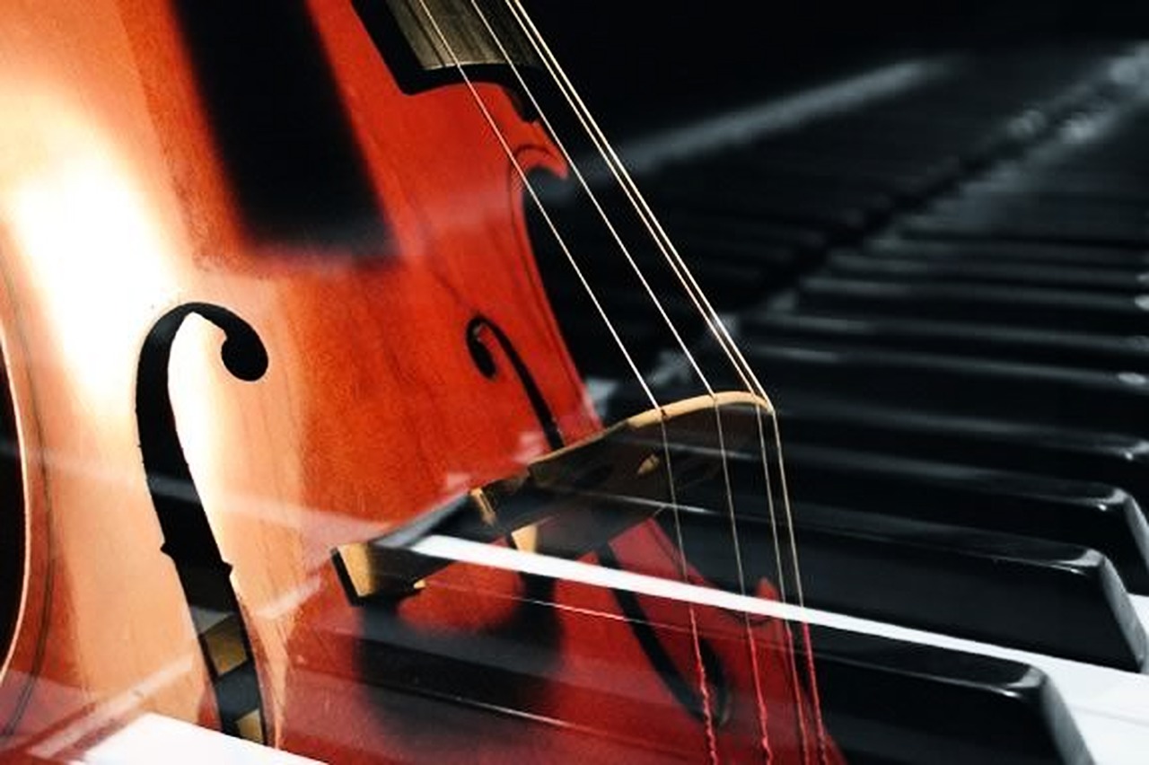 Zomeravondconcert in Slot Schagen