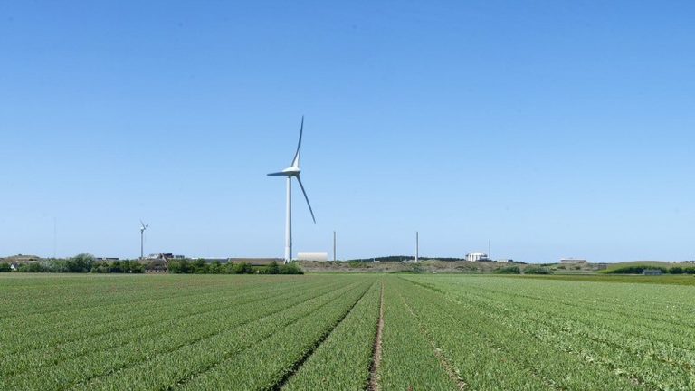 SP stelt vragen over Pallas