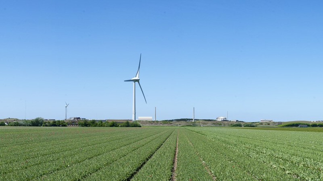 SP stelt vragen over Pallas