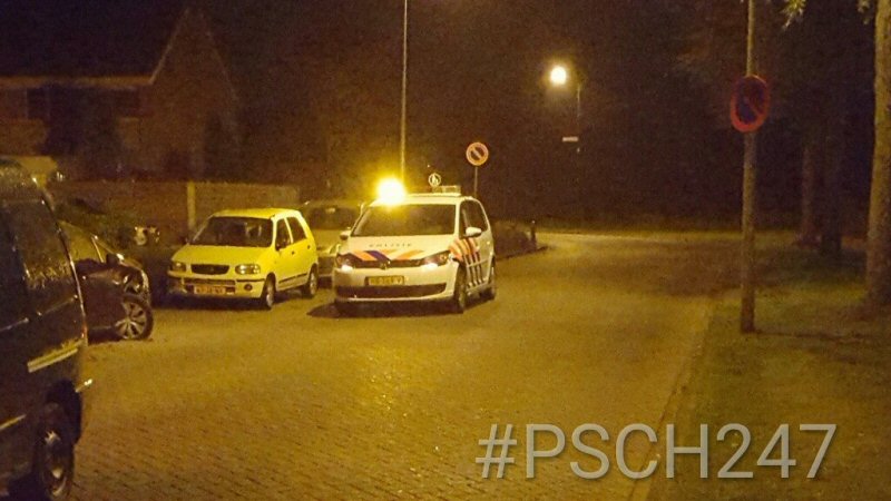 Drankrijder zorgt voor veel schade