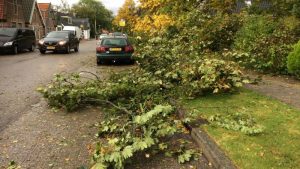 Windhoos treft Winkel (update 2)