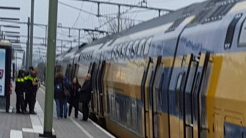 Driedubbel de fout in