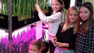 Op Avontuur met de Tuinbouwbattle