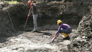 Schagen stapt over op Archeologie WF