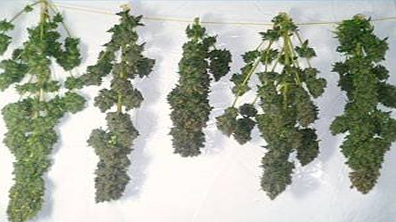 Drugs door slechte kookkunsten ontdekt