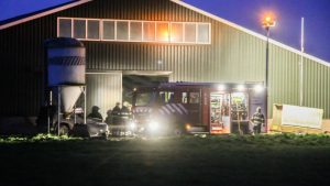 Brand in veeschuur Barsingerhorn