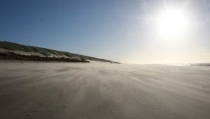 Callantsogers in actie tegen strandhuisjes