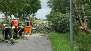 Boom niet bestand tegen storm