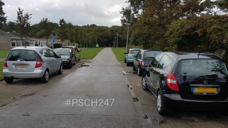 Autospiegels vernield in Callantsoog