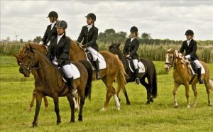 Mooi outdoor-event Clusius