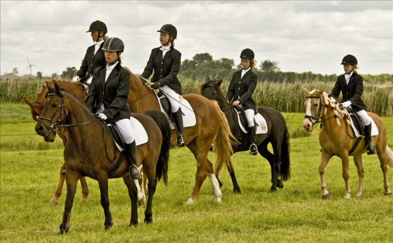 Mooi outdoor-event Clusius