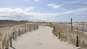Noordzee verliest het van de Veluwe