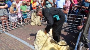 Derde Westfriese donderdag weer zonovergoten