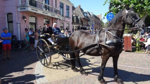 Optocht Folklore korter door warmte