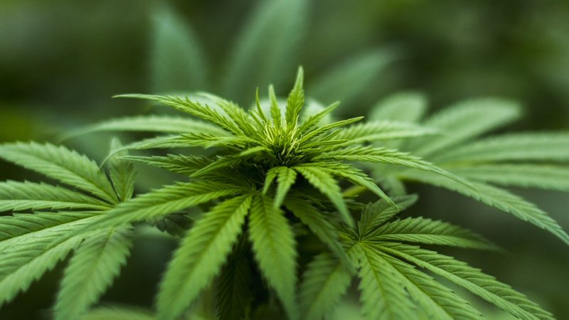 Woning Middenmeer gesloten na drugsvondst