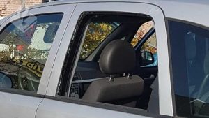 Hond uit hete auto gehaald