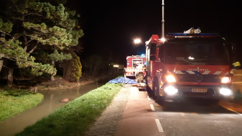 Paard overleden na aanrijding in Dirkshorn