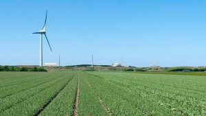 Bestaande reactor in Petten dicht rond 2025