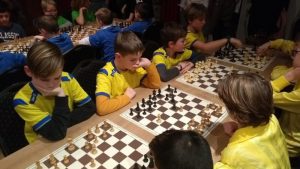 Vogelweid kampioen op schoolschaaktoernooi