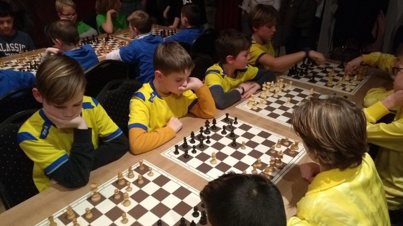 Vogelweid kampioen op schoolschaaktoernooi