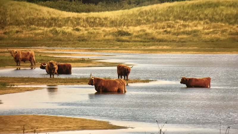 Nieuwe expositie in Helders ziekenhuis
