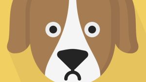 Hondje in kritieke toestand door gif