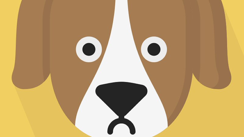 Hondje in kritieke toestand door gif