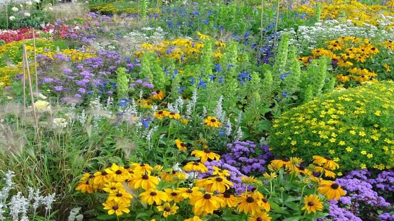 Bijeenkomst over biodiversiteit