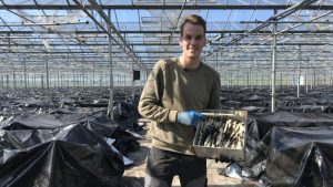 Het witte goud is weer in aantocht