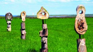Aandacht voor kunst&cultuur in Hollands Kroon