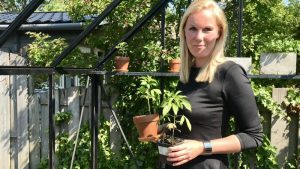 ‘Iedereen een wietplant in de tuin’ (Video)