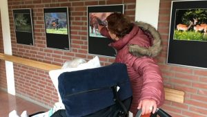 Expositie in Magnushof