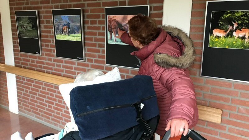 Expositie in Magnushof